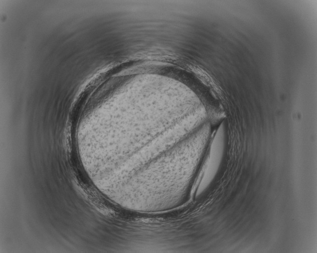 X0000084000680200703161649