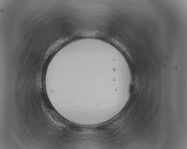 X0000084000682200703161649