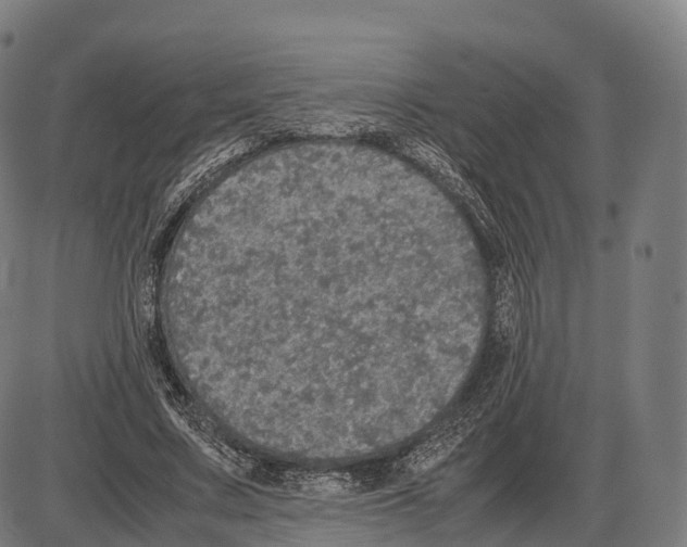 X0000084000683200703161649