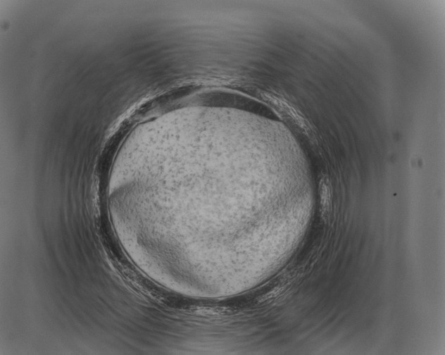 X0000084000684200703161649