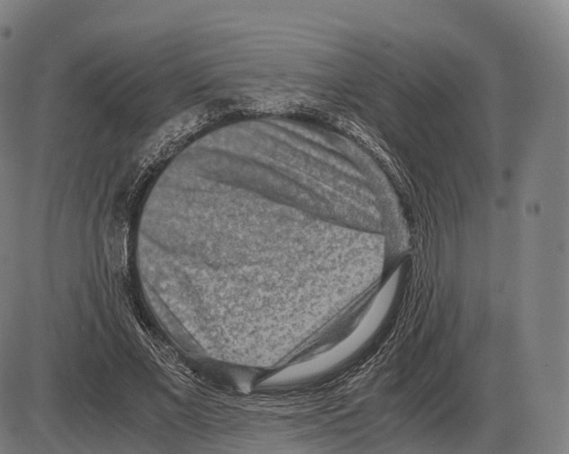 X0000084000685200703161649