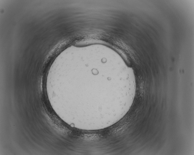 X0000084000686200703161649