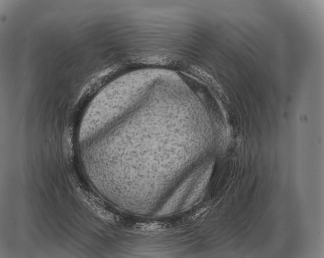 X0000084000688200703161649