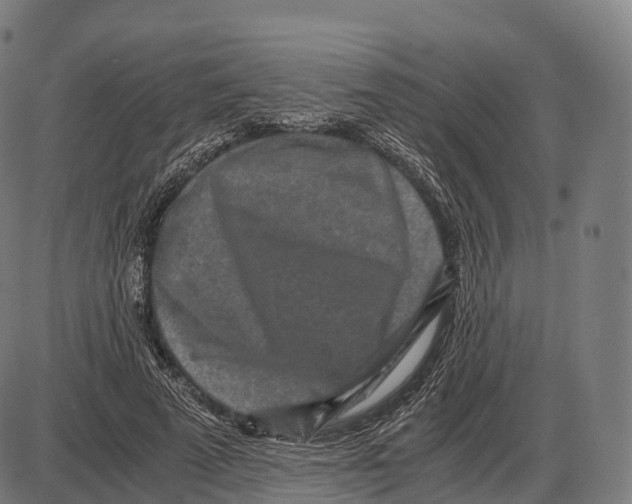 X0000084000689200703161649