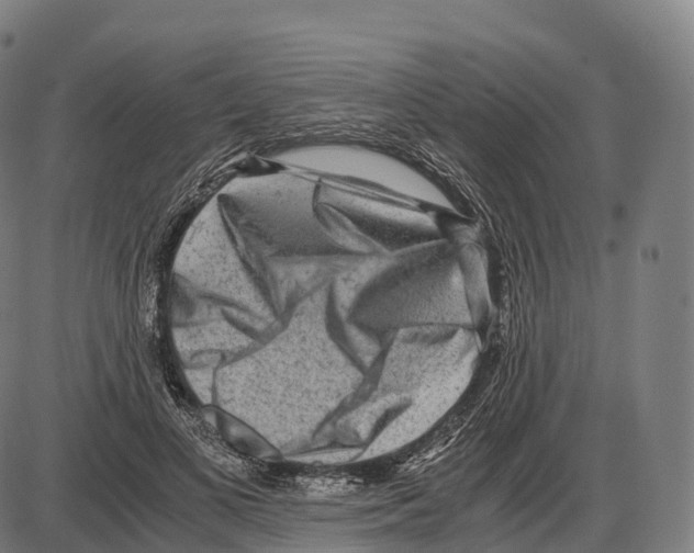 X0000084000693200703161649