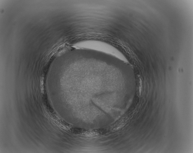 X0000084000696200703161649