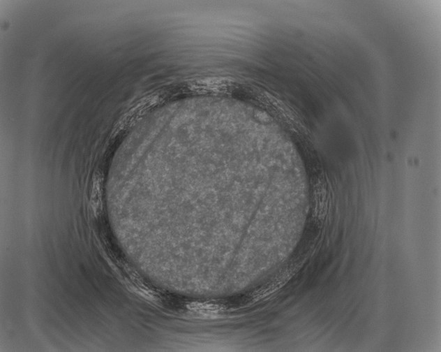 X0000084000699200703161648