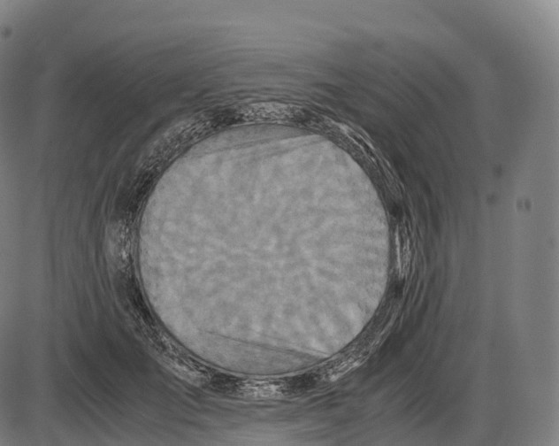 X0000084000701200703161648