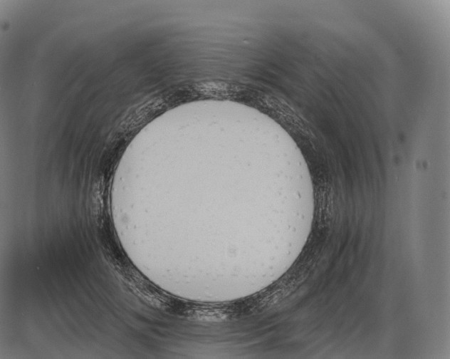 X0000084000702200703161648