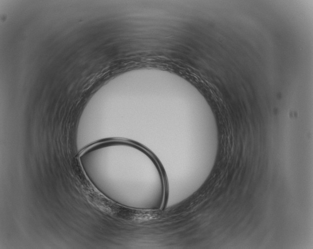 X0000084000704200703161648