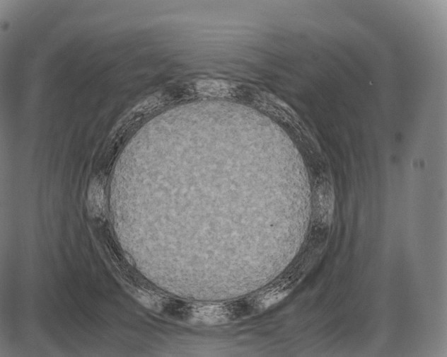 X0000084000705200703161648