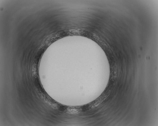 X0000084000706200703161648