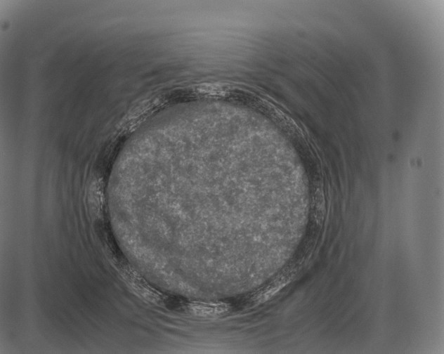 X0000084000707200703161648