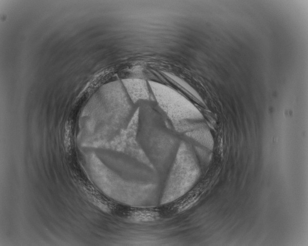 X0000084000708200703161648