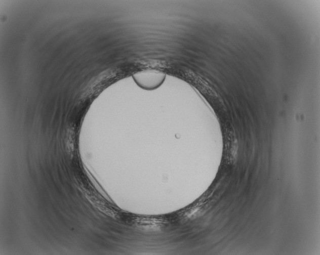 X0000084000710200703161648