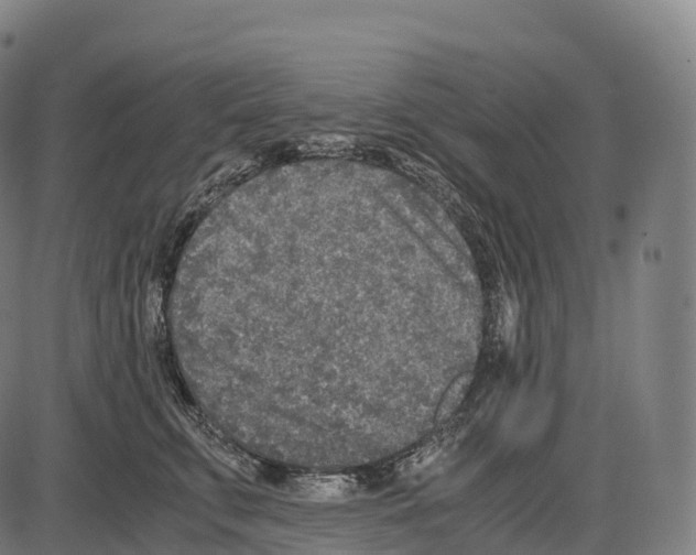 X0000084000711200703161648