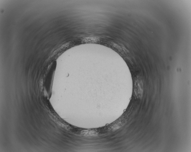 X0000084000714200703161648