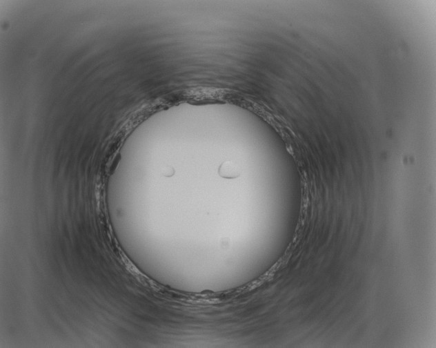 X0000084000716200703161648