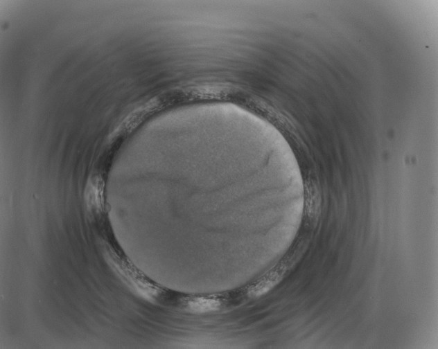 X0000084000718200703161648