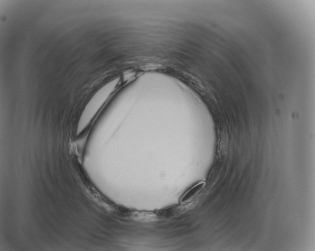 X0000084000719200703161648