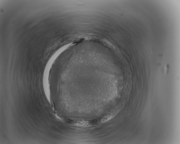 X0000084000720200703161648