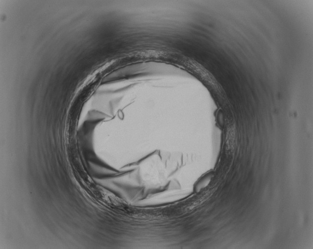 X0000084000722200703161647