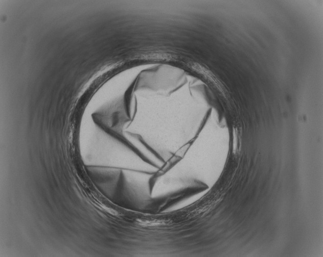 X0000084000723200703161647