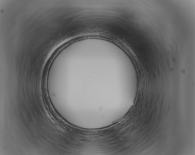 X0000084000724200703161647