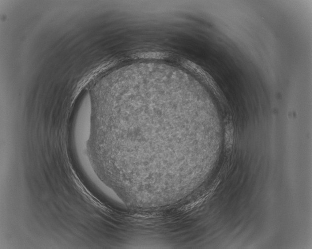 X0000084000725200703161647