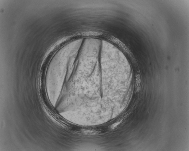 X0000084000726200703161647