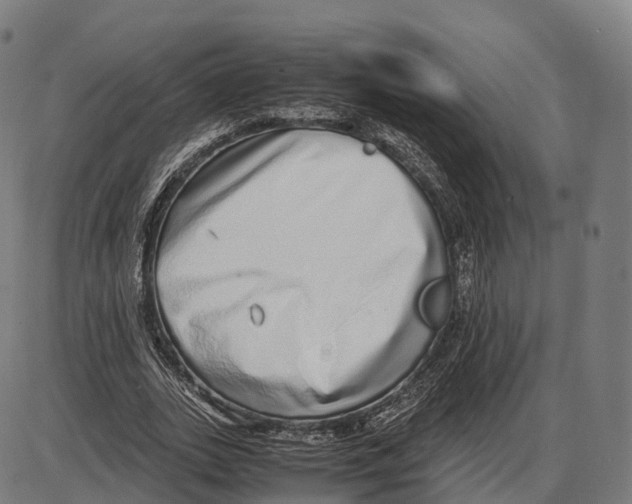 X0000084000727200703161647