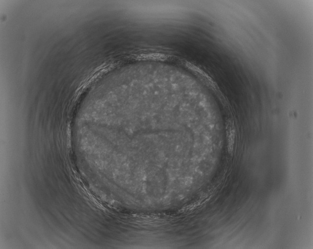 X0000084000729200703161647