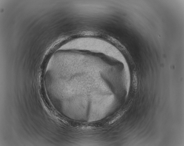 X0000084000730200703161647