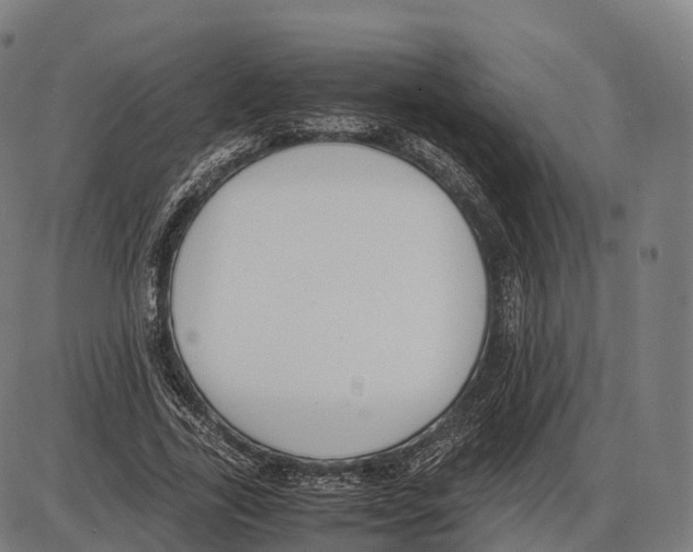 X0000084000731200703161647