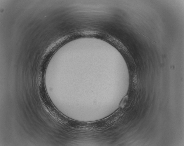 X0000084000732200703161647