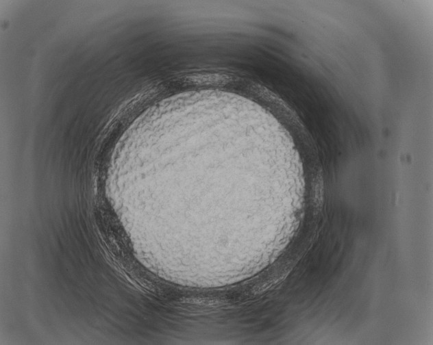 X0000084000733200703161648