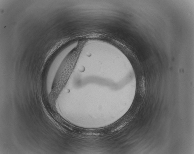 X0000084000734200703161648