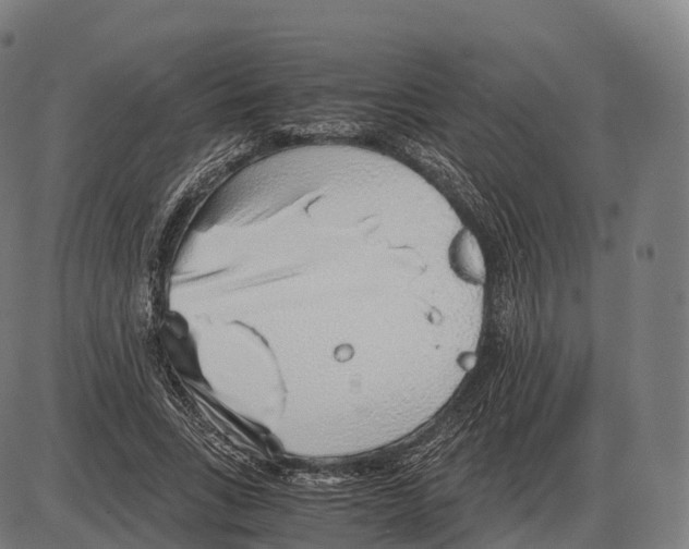 X0000084000735200703161648