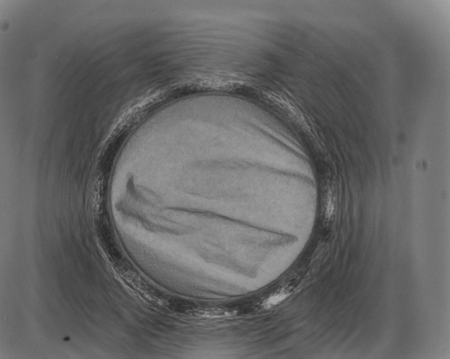 X0000084000736200703161648