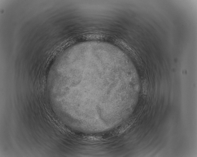 X0000084000737200703161648