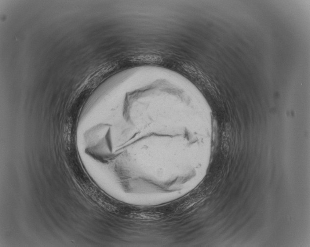 X0000084000739200703161648