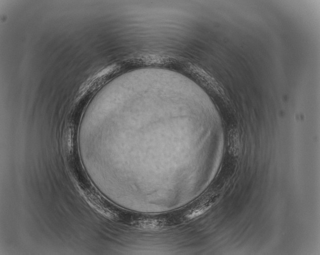 X0000084000740200703161648