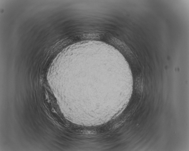 X0000084000741200703161648