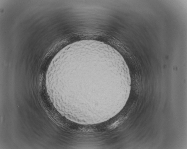 X0000084000742200703161648