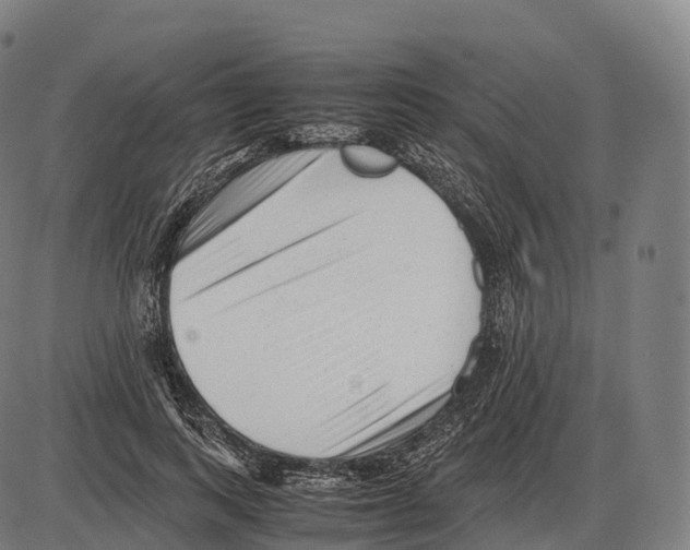 X0000084000743200703161648