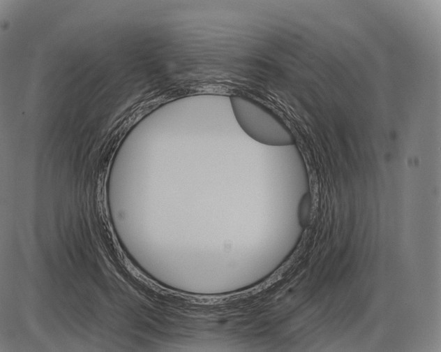 X0000084000744200703161648