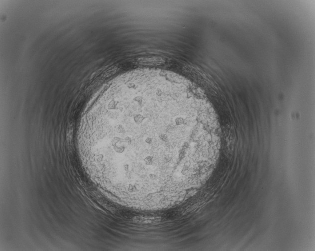 X0000084000745200703161648