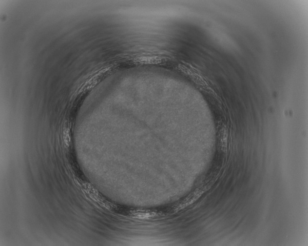 X0000084000746200703161648