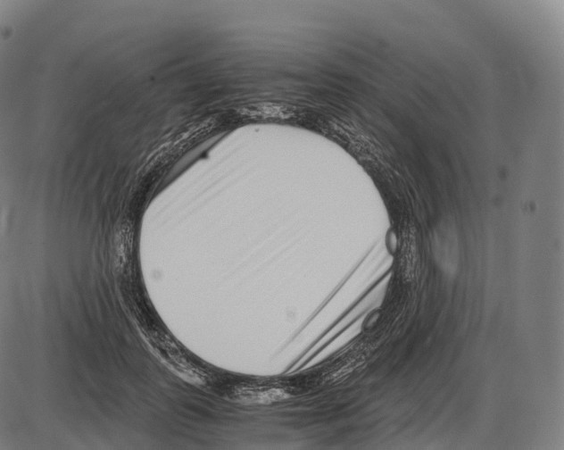 X0000084000747200703161648