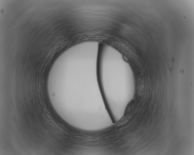 X0000084000748200703161648